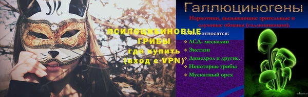 стаф Нея